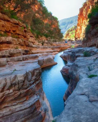 The palm gorge and pools at Paradise Valley — Surf and Paradise Valley day trip
